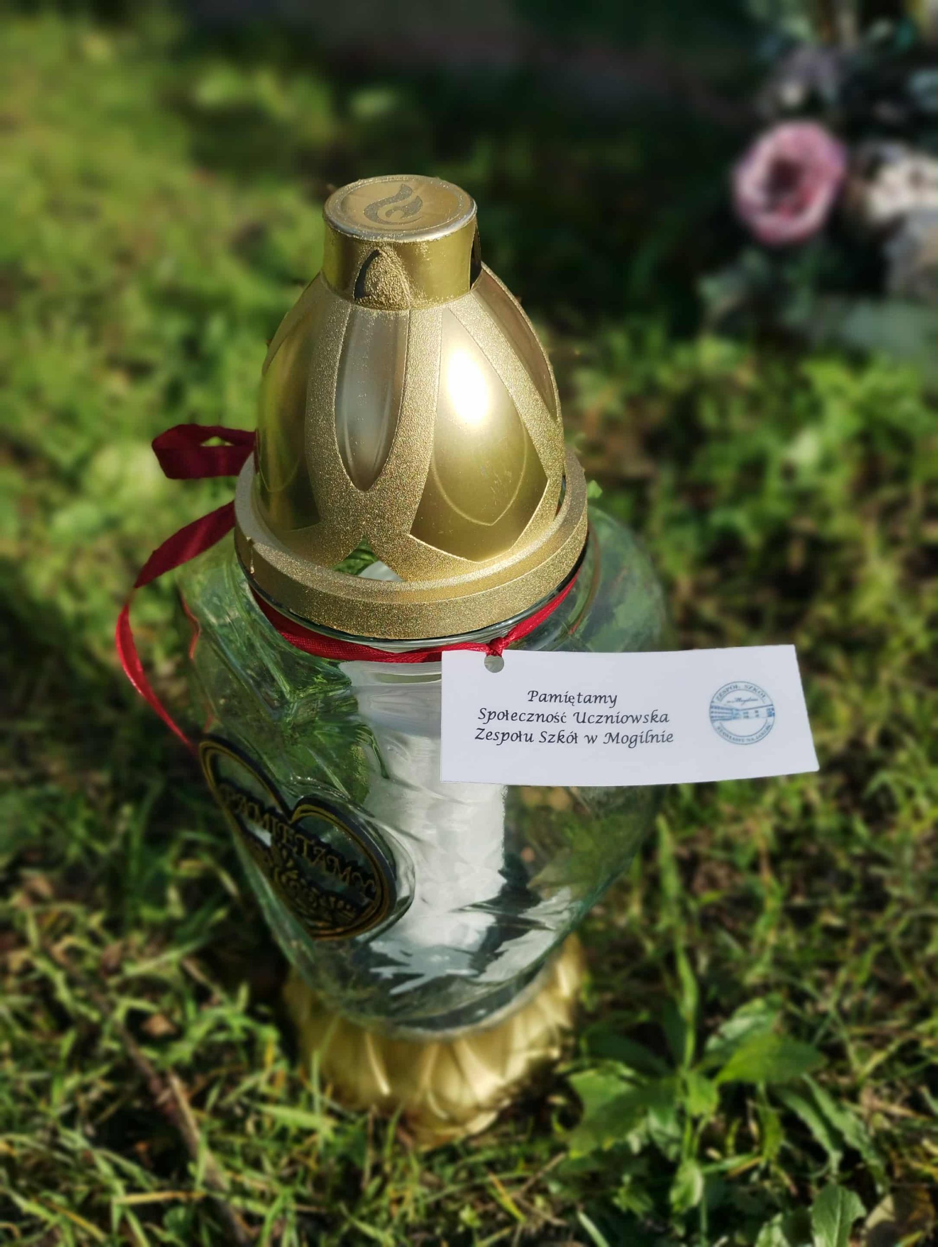 74d23a9d-e86a-4063-82d8-03e70f22c18d